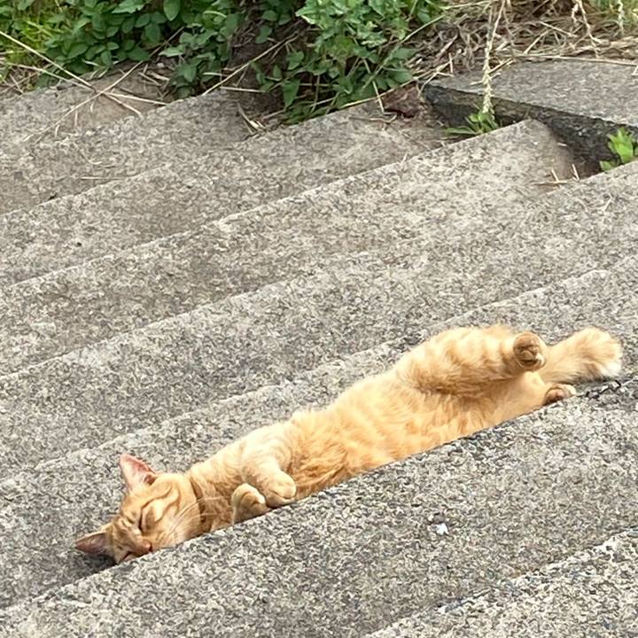 193f82a6 121f 4309 b22d 5ae728348e9d 1658481371607