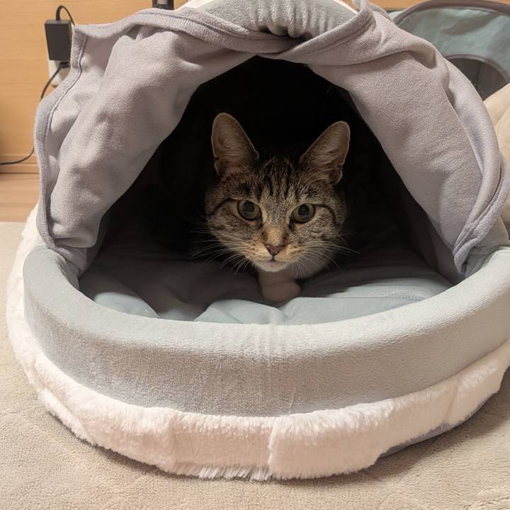 193ffc34 ad13 4d4e 87c7 77b5492fb0b2 1769265411623