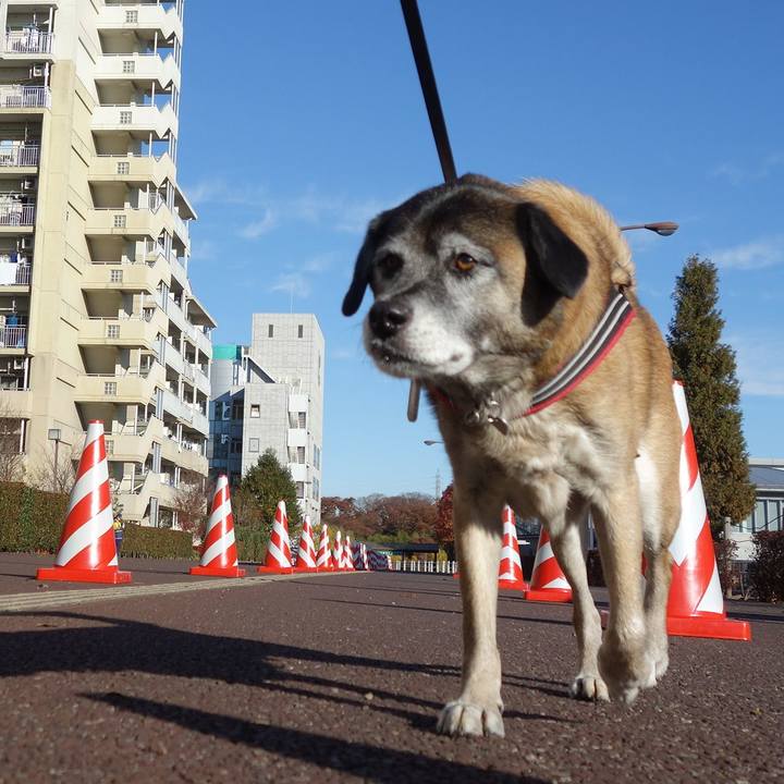 19402461 22ea 42c6 82ae bf2120ad50b0 1512176974296