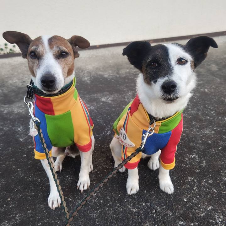 19402511 7953 4d5e b2e6 dcef6aea80fa 1773524735640