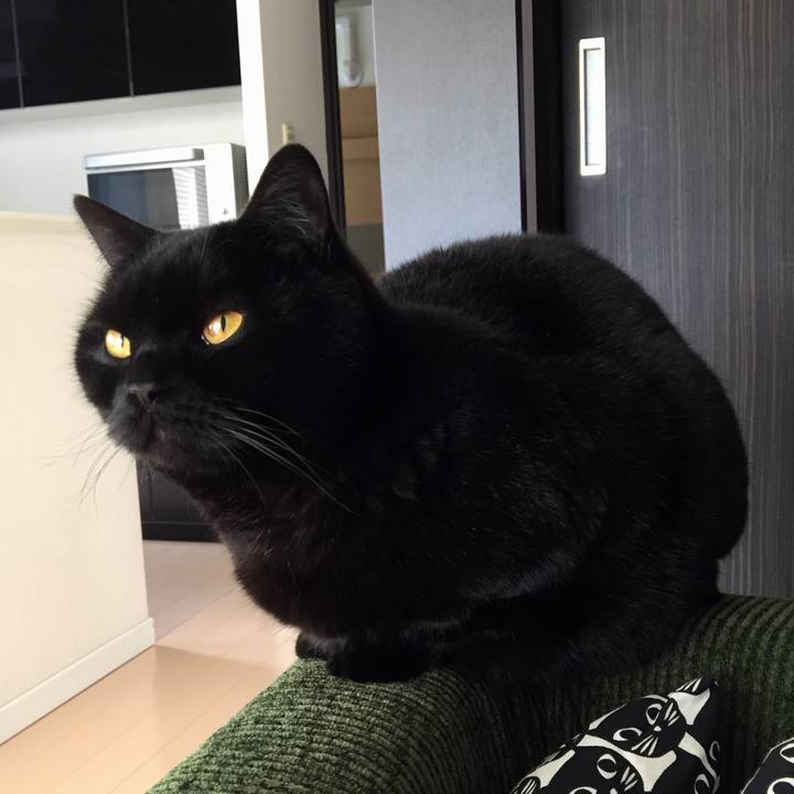 19405ed4 f6fc 4bd0 be7c 81a0675bfd2c 1585798554197