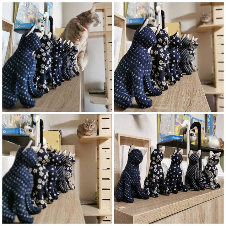 194094fa c02c 4ef0 94cd 801ae31e9273 1642173293520