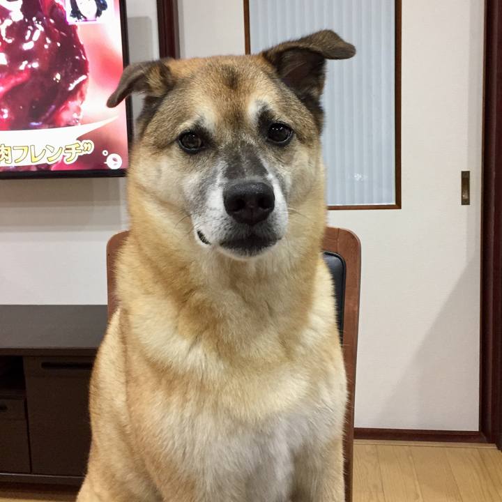 1940bbaa cdf0 4596 8eaa c57aac83a3ac 1569922671649