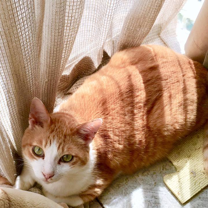 1940d5f7 c22b 4ce4 abde 20233aae4250 1564803371822