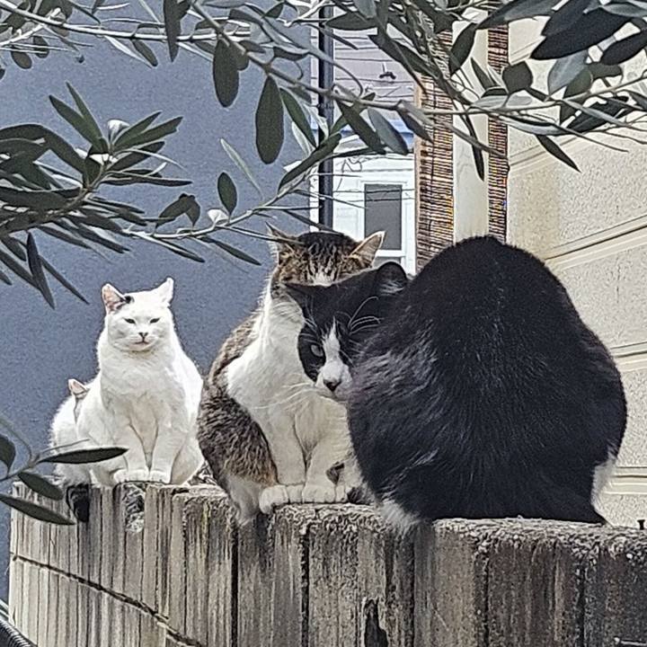 1940db6f 7908 4988 8876 613a3348bbbe 1737021582640