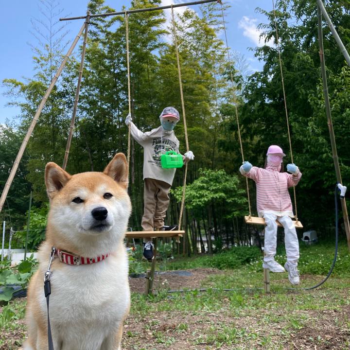 194103e0 b87e 4b5e 8a9e 5008a2d52ca4 1654146082431