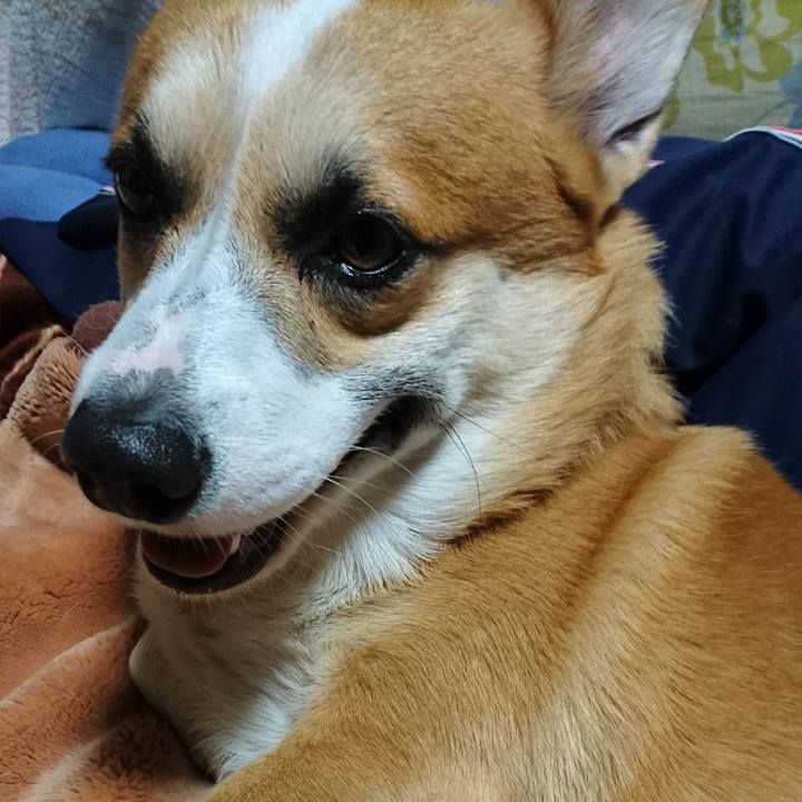 194107cf aea1 44c2 8c82 6b54821f5a67 1606140320312