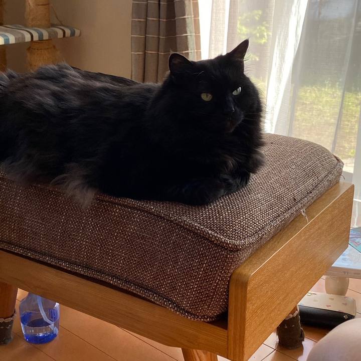 19410c76 65fd 4eea b42d 89164f5ac1a7 1623334164274