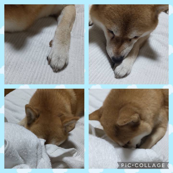 19410e2f 6940 4ec5 9005 7d870010d08b 1755090780493