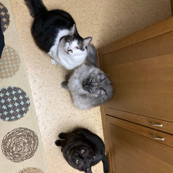 194145b7 b522 4a60 8ac8 f43d58c6aa1e 1713005359063