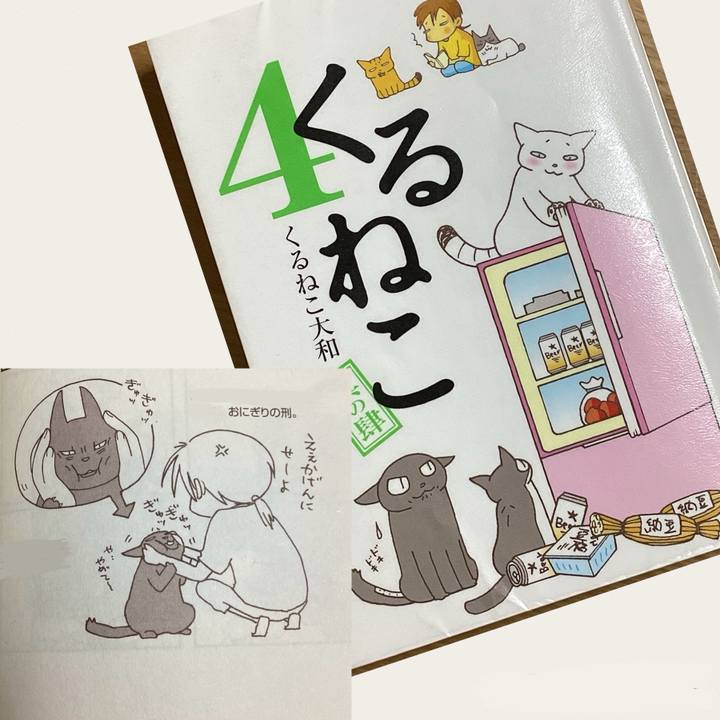 19415afe 85de 4188 aa5a cebdc00e3624 1705207743831