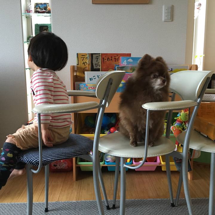 194164a7 3df3 4e02 b112 4ac8d4533775 1526216238871