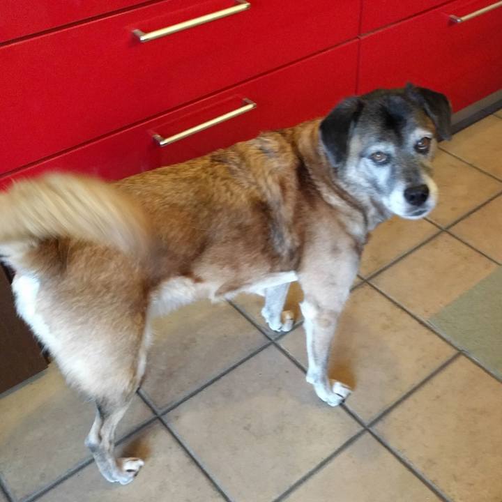 194174c1 af89 46aa b06f 38089135d8dc 1542412752436