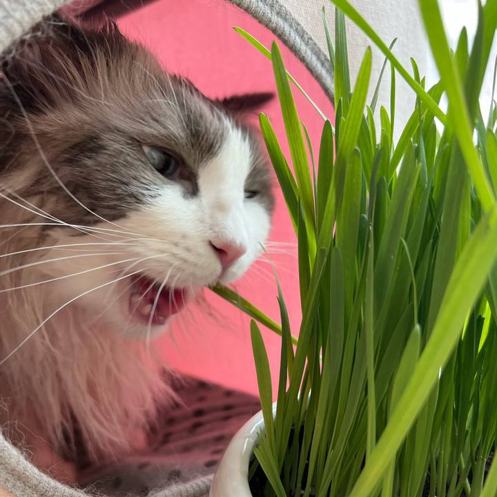 194189b7 82a3 4529 8c4e df3b19cd5f34 1653196630928