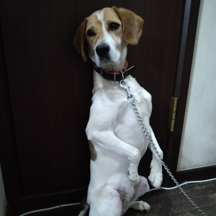 1941c7b8 6267 439e b2d8 00047b9f34c3 1624280569385