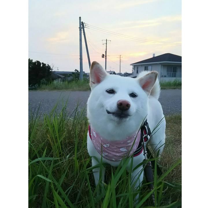 1941ce74 d670 4cc8 83fa 62069e033199 1532170038145