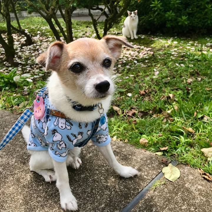 194223e1 5ae3 4407 9bcd 15933b8821ad 1665287717982