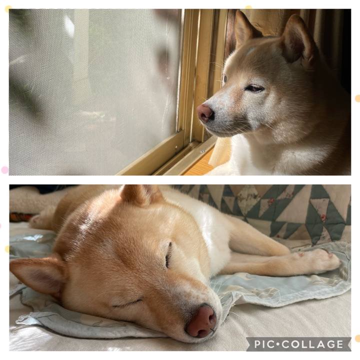 1942b2e9 b44f 44d0 8d50 50cc948577c6 1660868921182