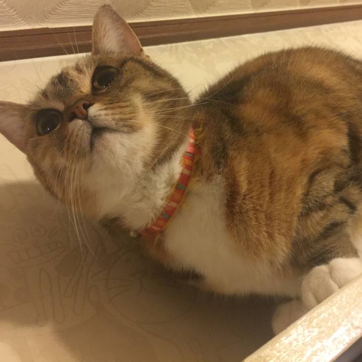 19430d3f 5fd3 4ae2 85d5 9af78495eddb 1554992687926