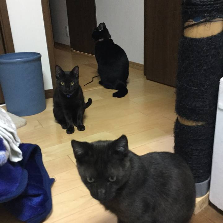 19431bc3 5d47 49ca 9284 a99784c9f458 1509115167891