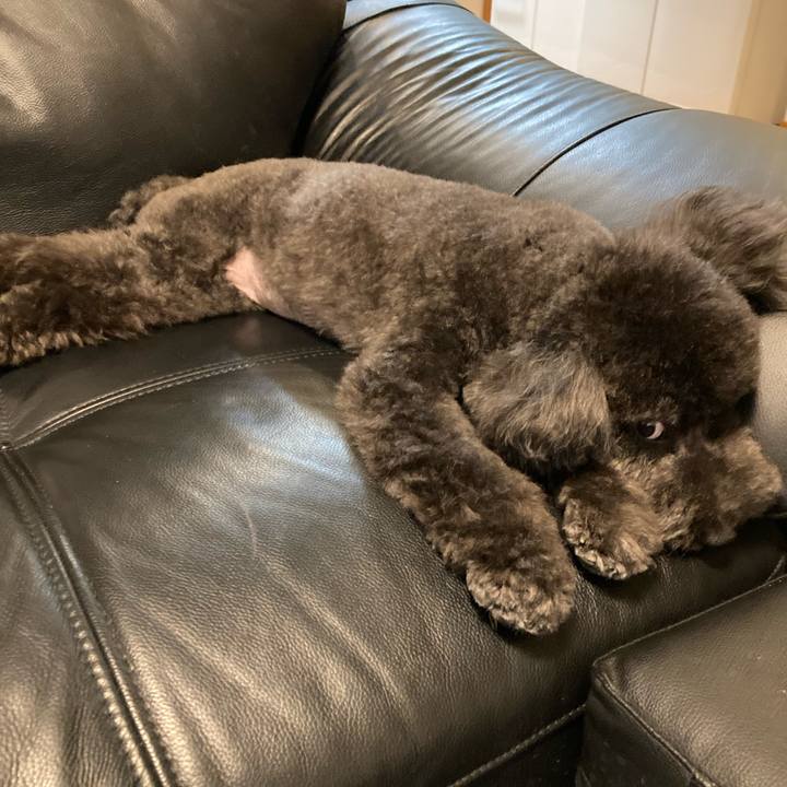 19434514 c097 40d8 85b7 0503684ba2e4 1664278293252