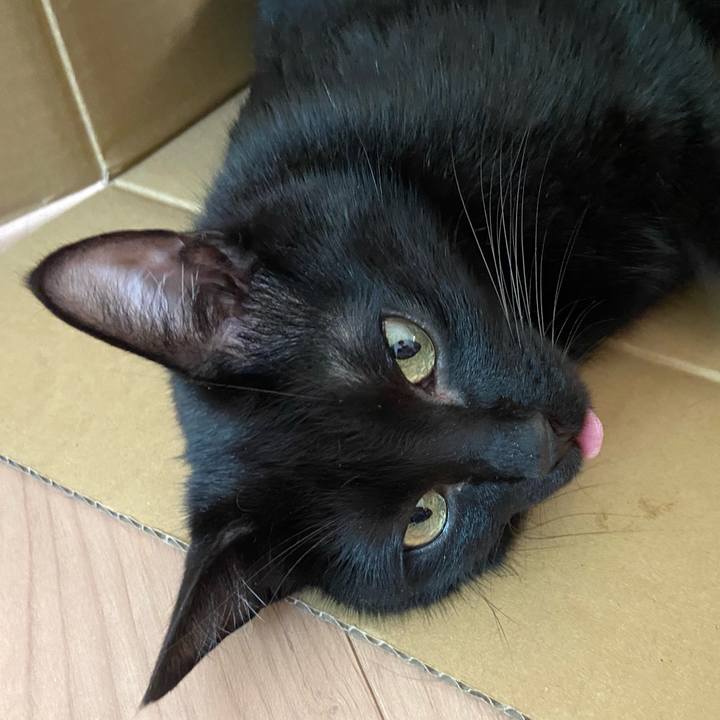 1943474b 096d 45e2 bab5 c56d0148a795 1657800365962