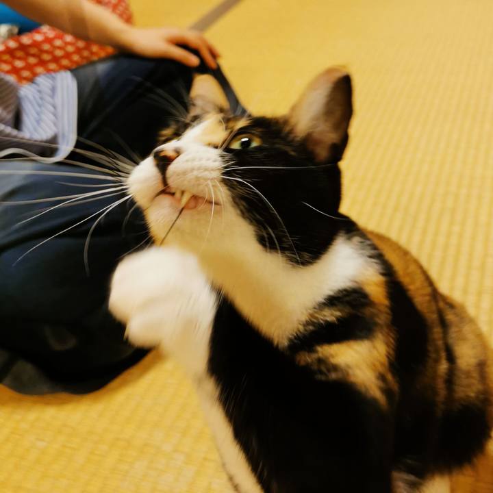 19438e83 9a1a 491c bd23 0e77d6e0ff1d 1632881271568