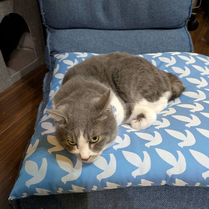 1943963d c39d 4684 ba38 9105a4d59018 1745069057348