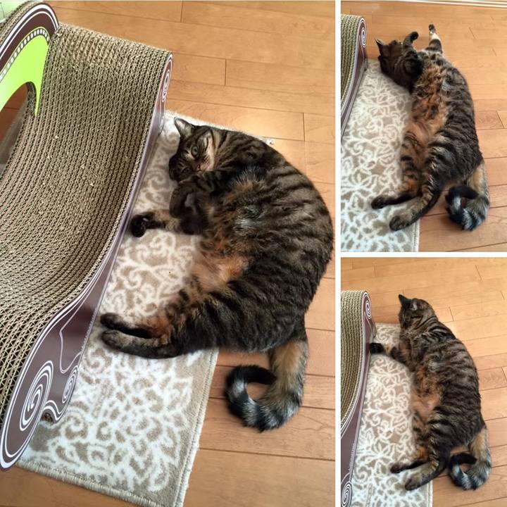 1943a3e1 8c5f 42a8 bae2 ba0487bc46db 1769316253954