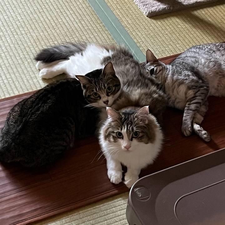 1943bcbe 0b87 4403 b6b7 5a0e6bdd3d5d 1767221713152