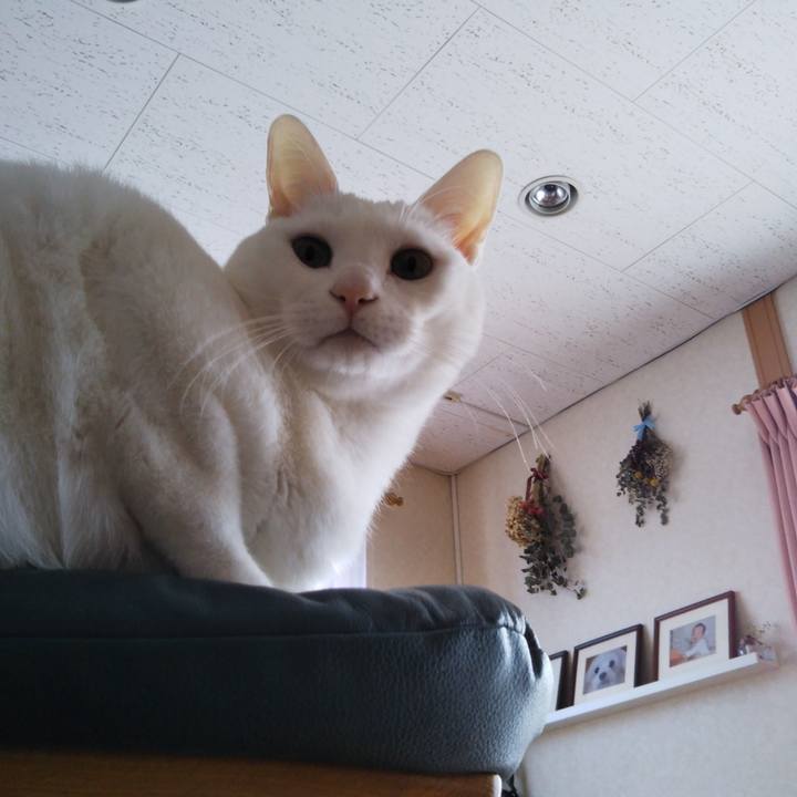 1943ce5a 7daf 4f35 9647 75af5ea9af31 1546476459119