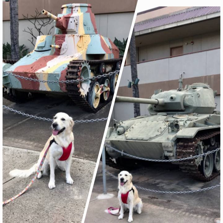 1943d8f1 8b29 4d92 965a 5c2f94c6d4c2 1551252218196