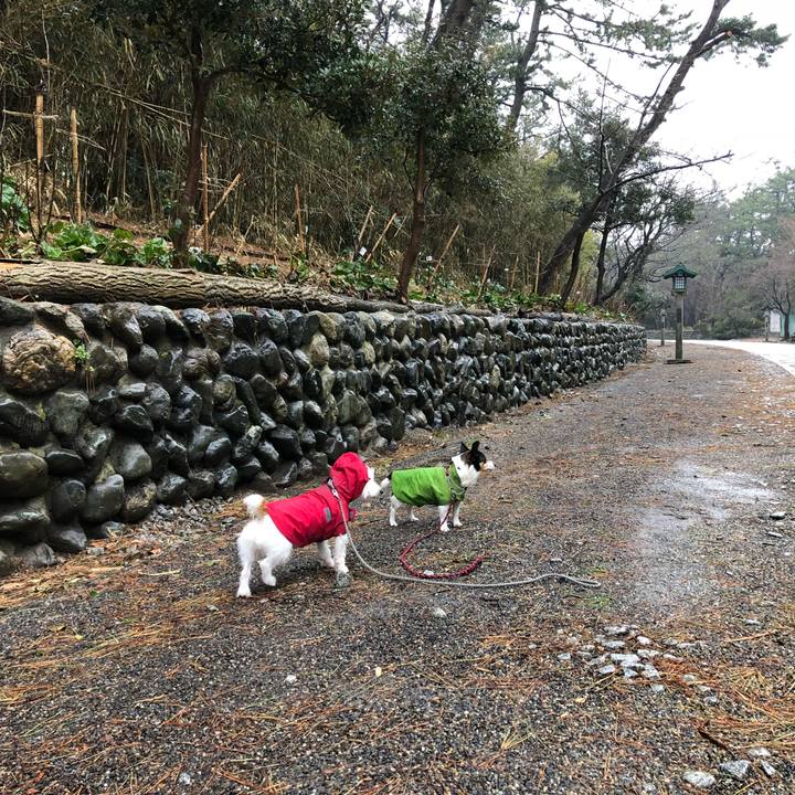 1943fe7c c2cc 47af aef8 e0c9ab22e5de 1521439179214