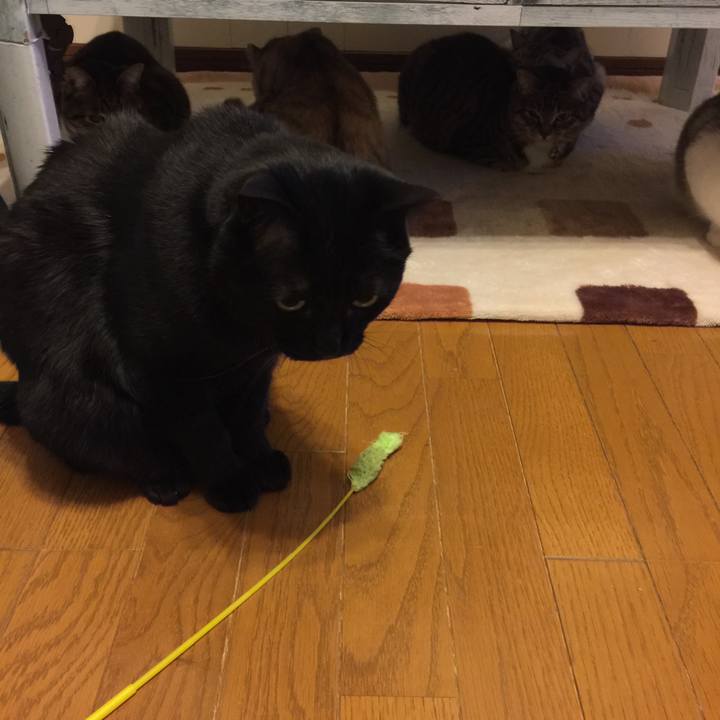 1944117c 34d5 4bfc a962 6363923c5b21 1554044639102