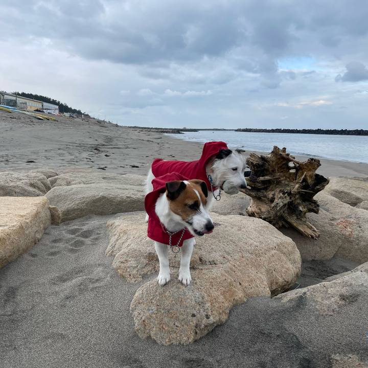 194430c2 2647 44c9 8818 e065b5296dd9 1644366595175