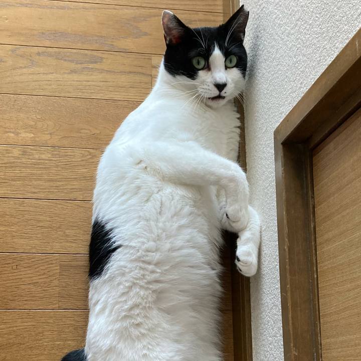 19444be0 2dc8 4d08 88a0 e0b9d53a2d41 1631353494685