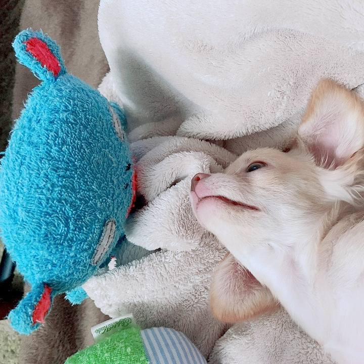 19445b02 3cdd 4d86 9427 9b7a0c208c98 1594096314748