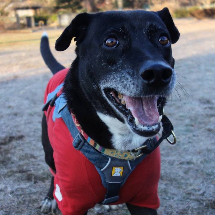 194460a3 8ecc 4d59 bf31 6a7326079304 1703898716267