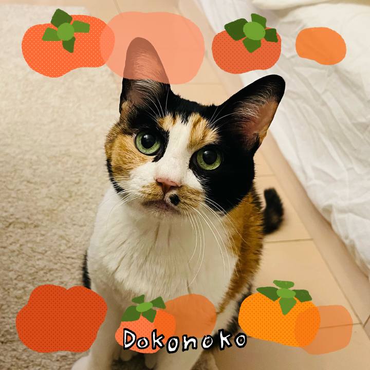 19449295 9786 425e af39 d24dfec4cc89 1763239553761