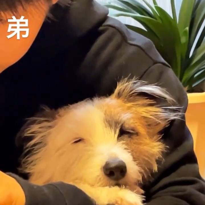 1944bf4f bd33 4d29 879e 7efb98df757d 1609570288618