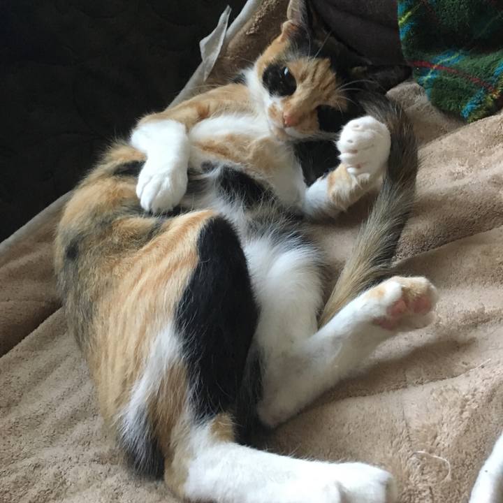 1944c17c 2f12 48e7 a731 2bb0269763fe 1519950445617