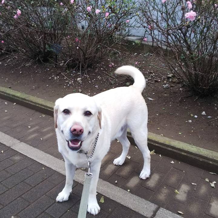 1944e557 64d0 409f af93 1848c7b9df9e 1576572744513