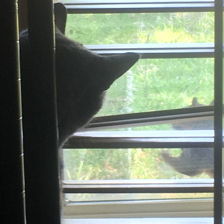 1944e6cb 599b 4d7a 8eaf 11b56f09d040 1658277803473