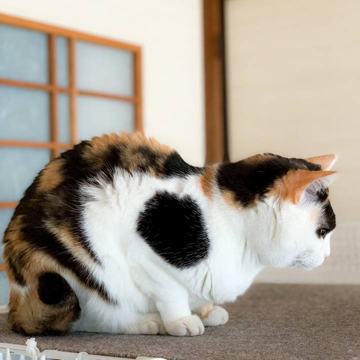 19450758 4338 4af4 816a 23b95d2e0468 1590544469296