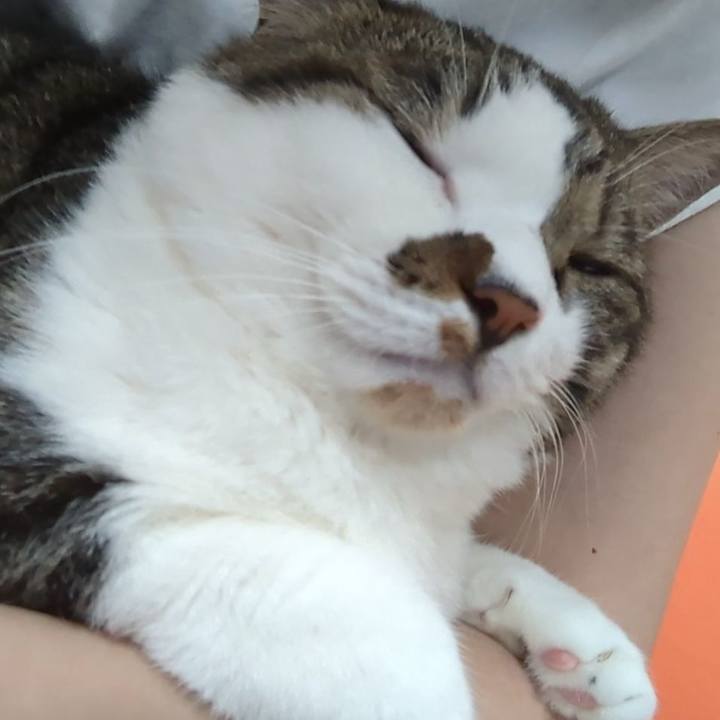 19451c63 d762 43f8 8752 dc231b9d4ea0 1726535469640