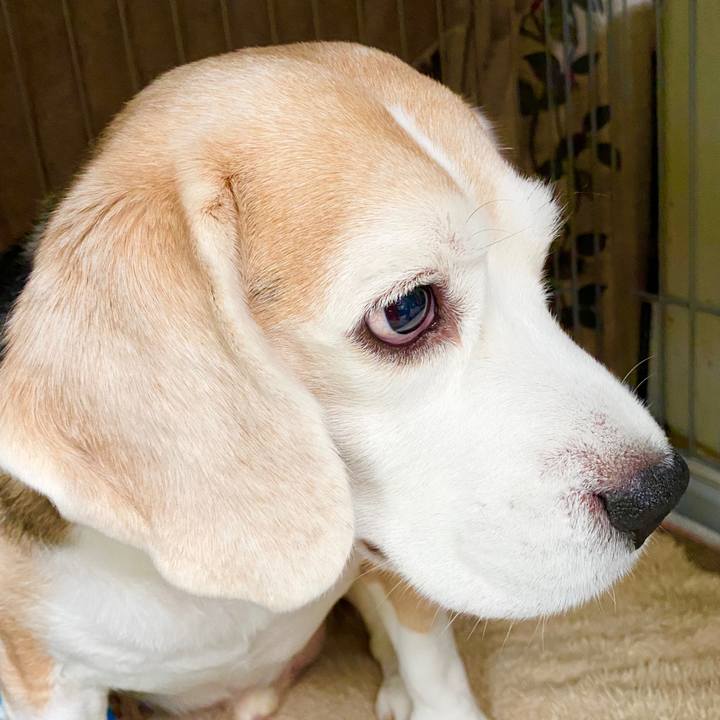 194537ee acfb 4fb2 b894 07257c699846 1583120120189