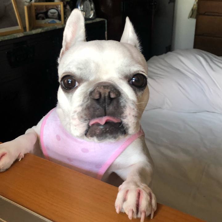 19453d67 f728 4244 a957 214fa53c30c0 1541231112236