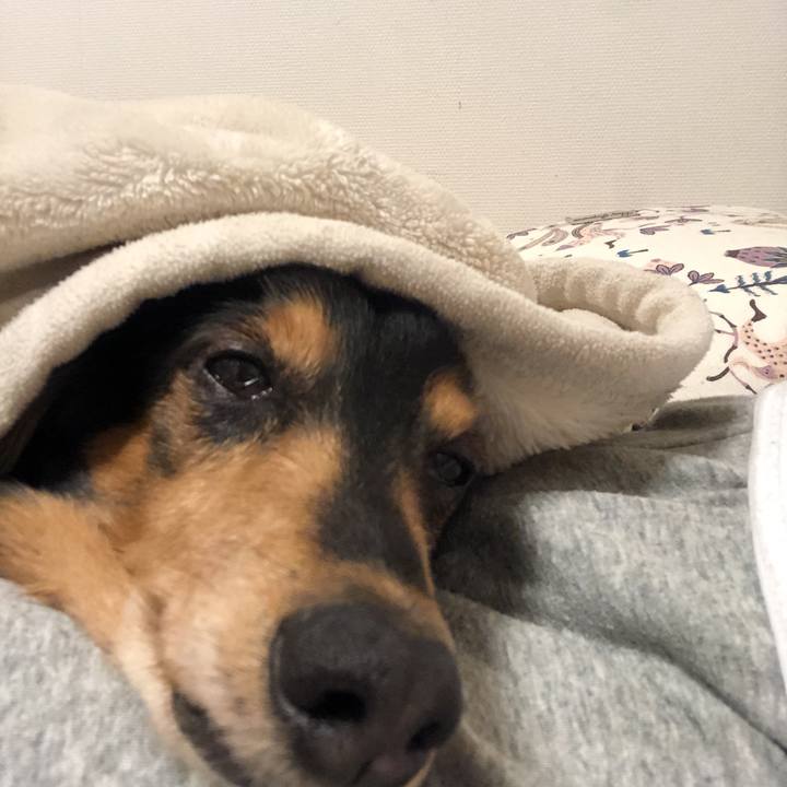 194557b0 083b 4ebb 9aa7 9c76f405d802 1591194727872