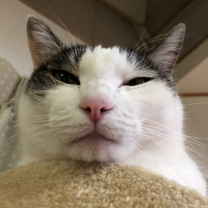 19457fd6 0499 4c24 90c5 3181ee1efb40 1696942844101