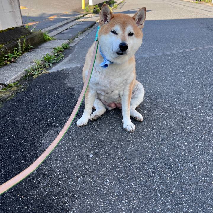 1945a8b0 1898 445c 9543 2b5ebe41ebf8 1718750037381